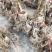 软枣猕猴桃树山东基地直发品质保障欢迎实地考