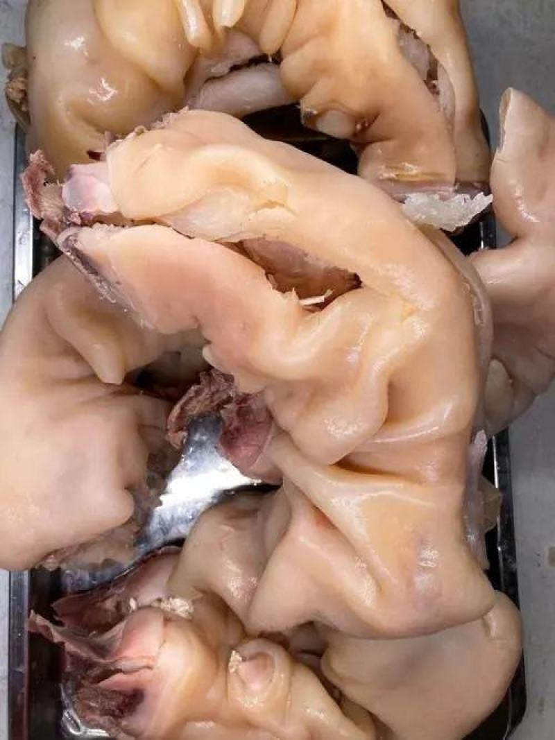 【推荐牛蹄筋】清真熟牛肉去油去骨头熟牛蹄筋支持一件代发