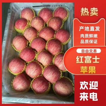 红富士苹果大量上市货源充足电商，微商社区团购