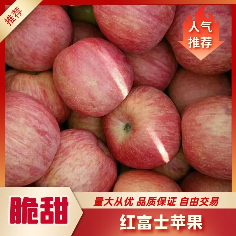 红富士苹果口感脆甜多汁大量供应货源充足价格便宜全国发货