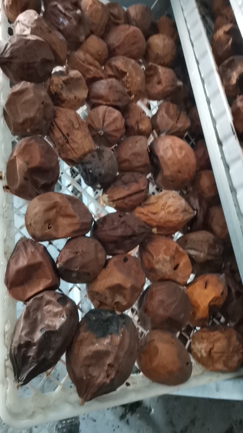 兰考中药材产地直销瓜蒌