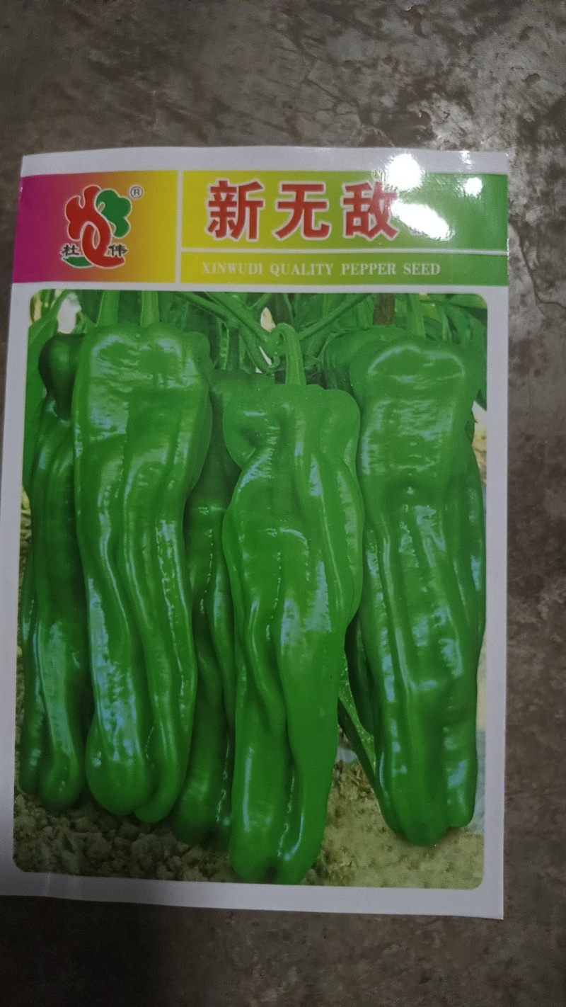 【精品苗】辣椒苗薄皮菜椒苗泡椒苗苏椒5号抗病免费技术指导