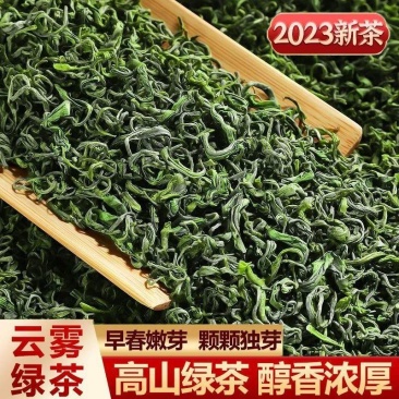 松阳绿茶2023新茶浓香型云雾绿茶龙三