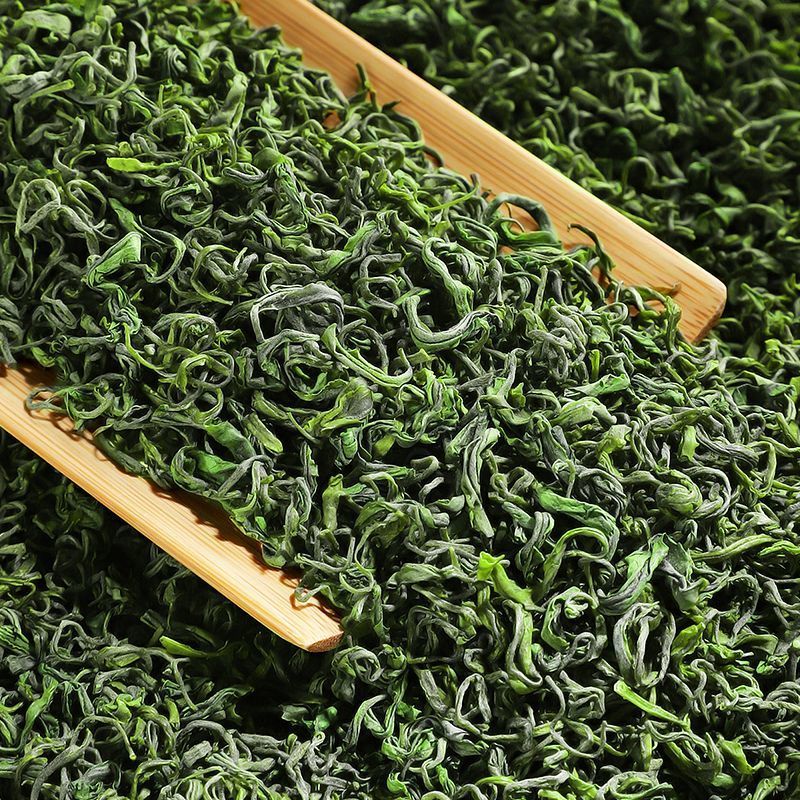 松阳绿茶2023新茶浓香型云雾绿茶龙三
