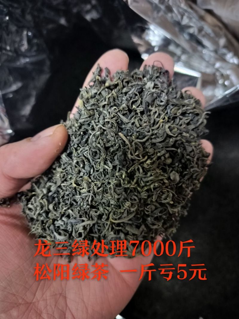 松阳绿茶2023新茶浓香型云雾绿茶龙三