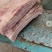 去皮五花肉