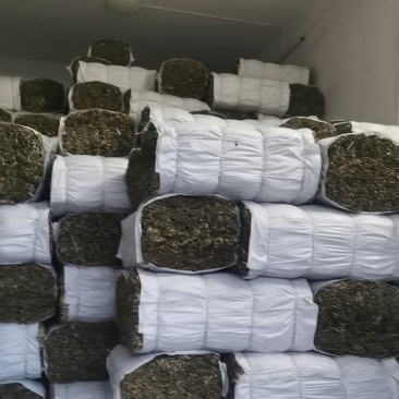 粽叶包粽子叶子江南箬叶江南湖南粽叶桥头粽叶