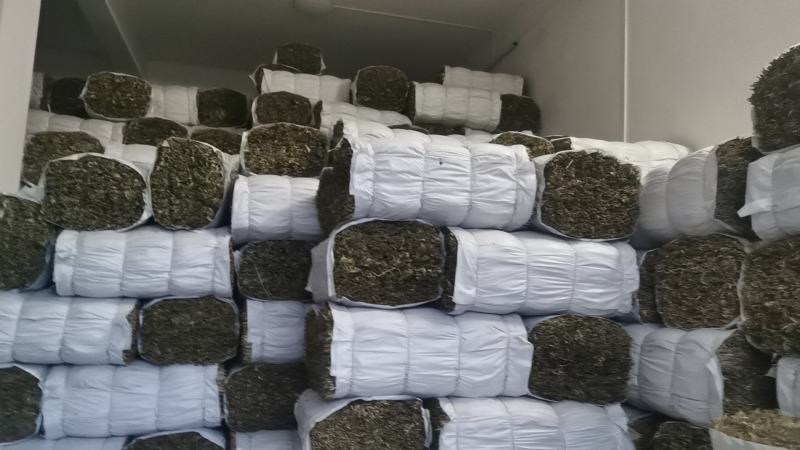 粽叶包粽子叶子江南箬叶江南湖南粽叶桥头粽叶