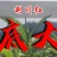 恩施藤茶