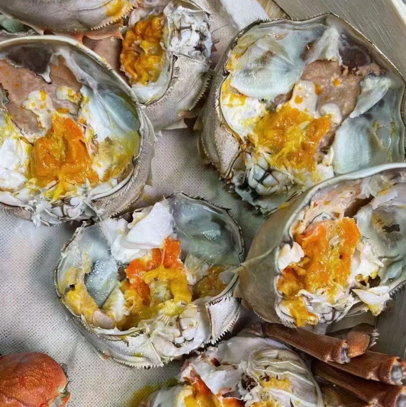 大闸蟹公的满膏母的满黄大量供应各种规格