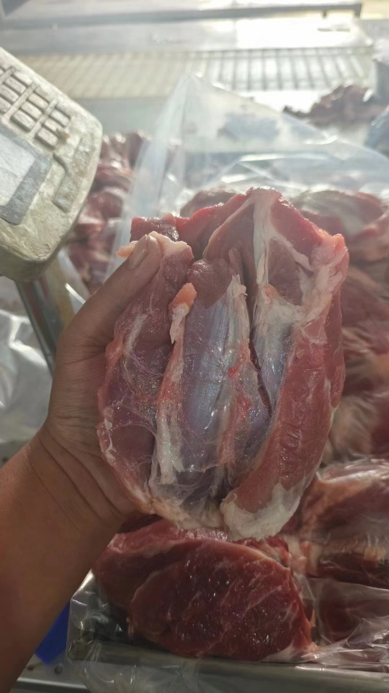 国产肥猪腱子肉后腱子肉新货手续齐全厂家直发量大价优
