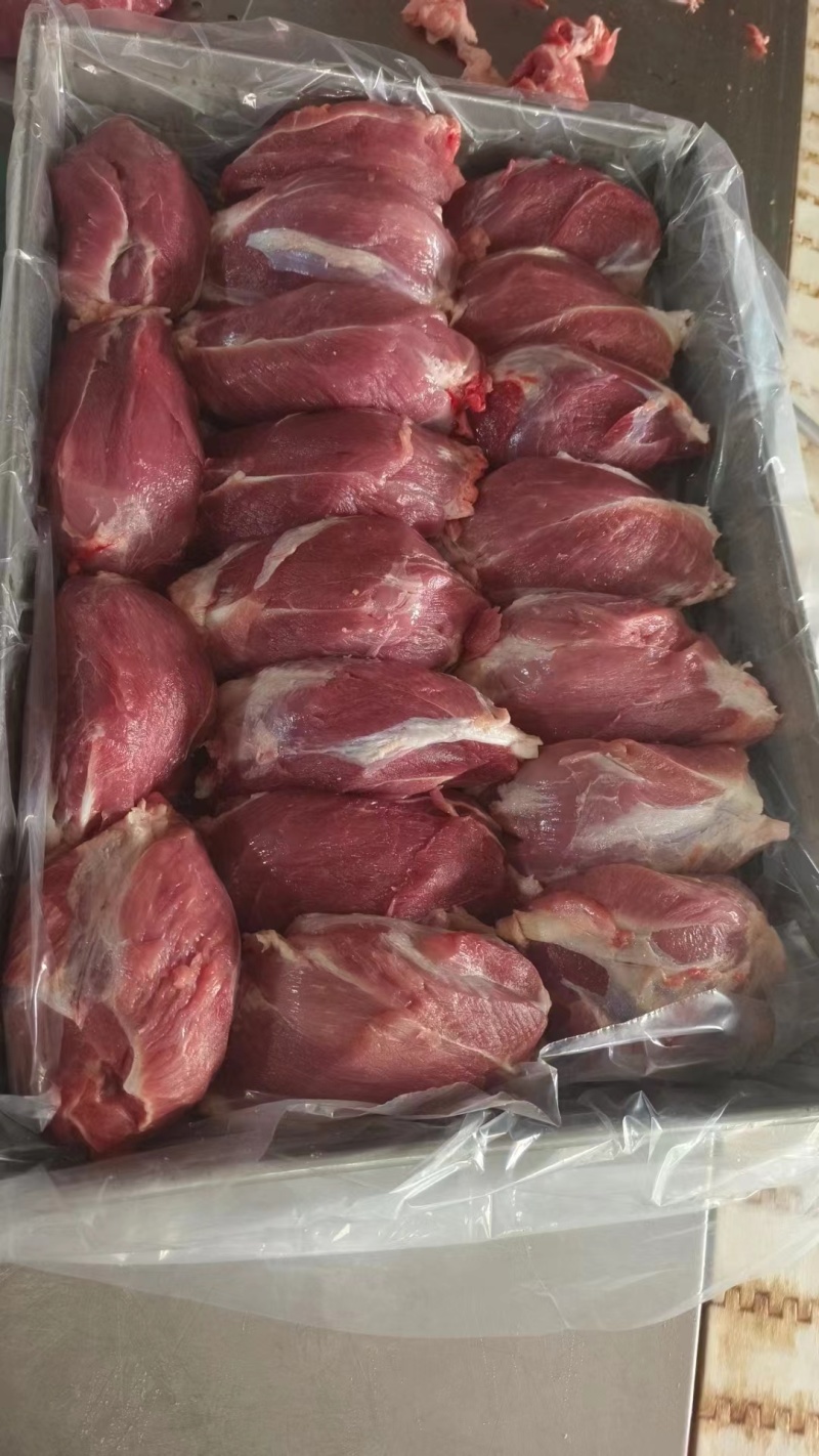 国产肥猪腱子肉后腱子肉新货手续齐全厂家直发量大价优