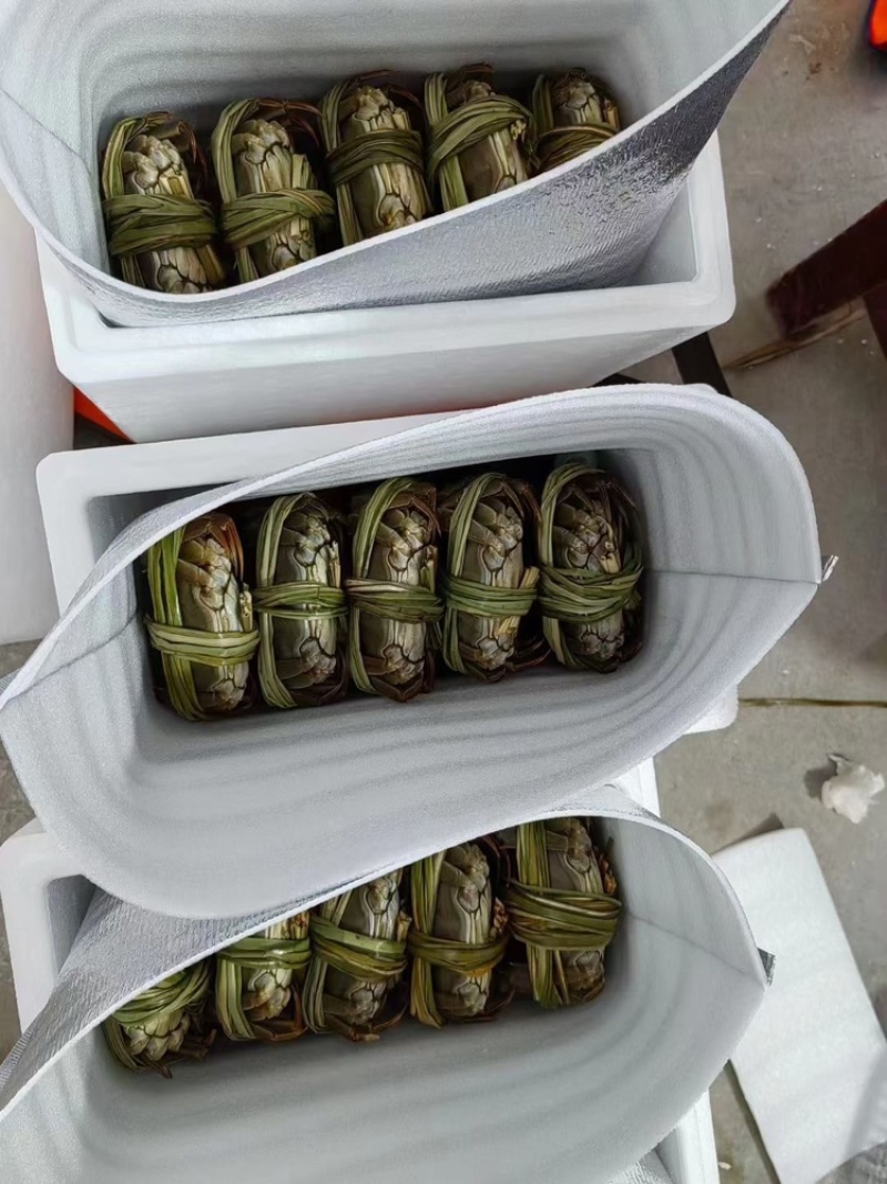 大闸蟹公的满膏母的满黄大量供应各种规格