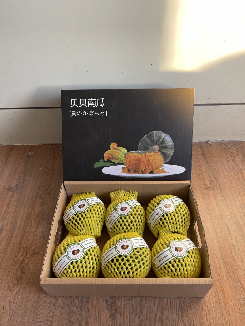 品质贝贝南瓜一件代发水瓜包赔对接电商团购直播源头直发供应