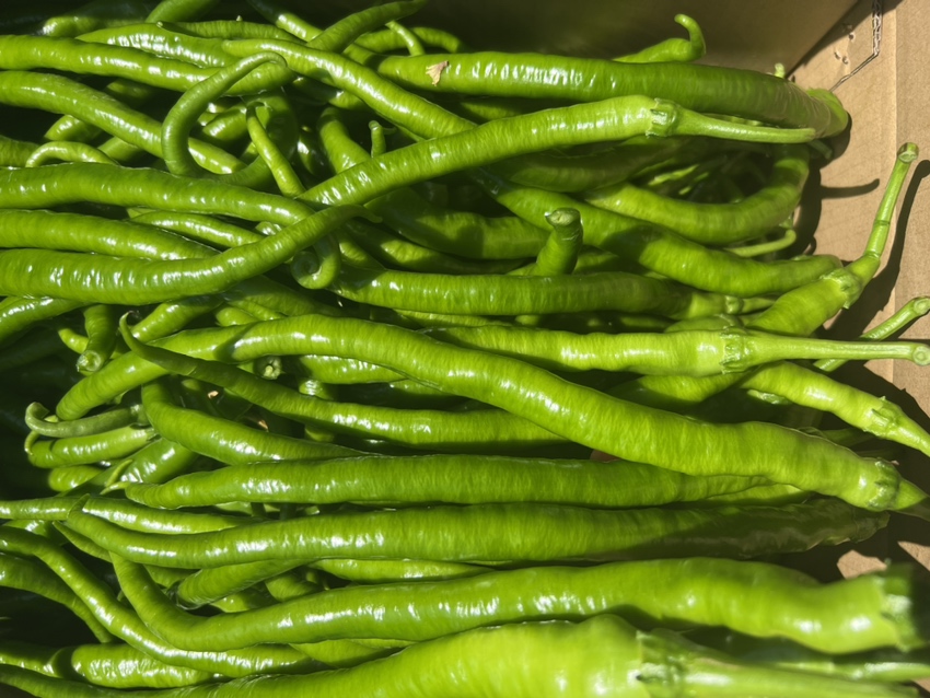 灯笼椒干辣椒特写