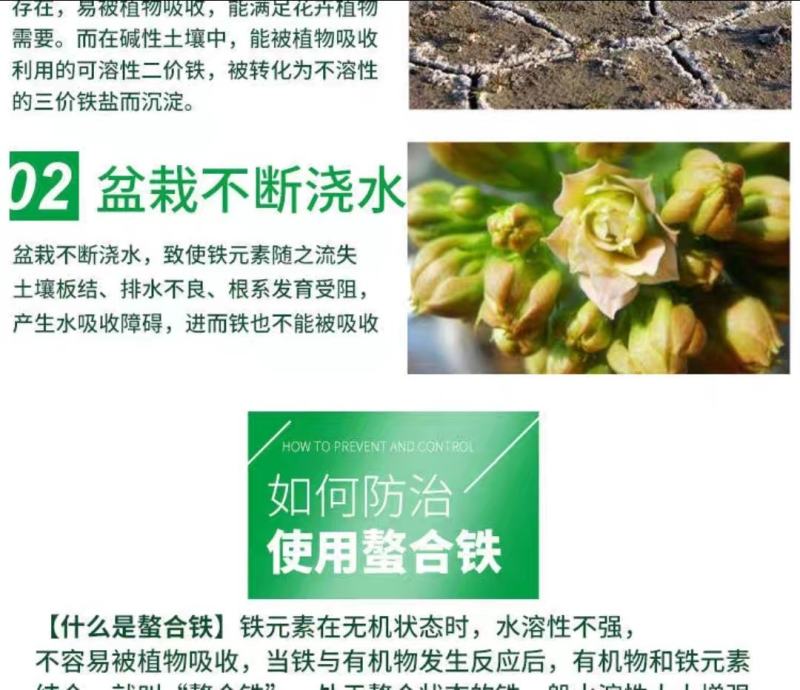 螯合铁铁肥液体叶面肥水溶肥蔬菜花卉果树快速补铁预防植黄化