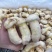 2023云南冰鲜冷冻速冻松茸野生蘑菇冻鲜整个鲜急冻餐饮酒