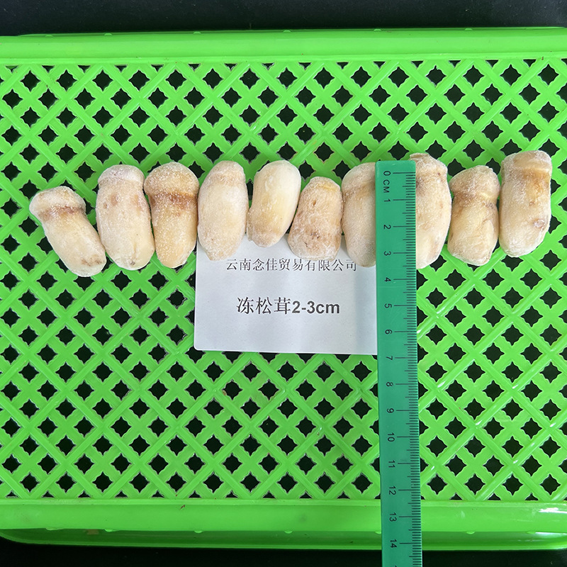 2023云南冰鲜冷冻速冻松茸野生蘑菇冻鲜整个鲜急冻餐饮酒