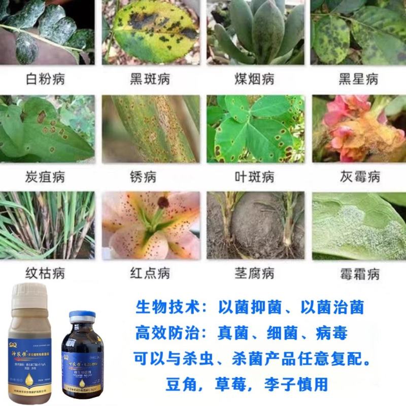 杀菌快速杀菌剂抑菌真菌细菌病毒全清微生物菌剂霜霉病炭疽病