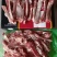 3924高斯达母猪多肉肋排条新货手续齐全厂家直发量大价优