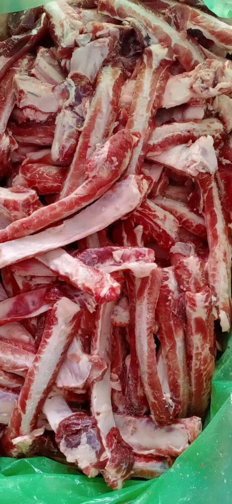 3924高斯达母猪多肉肋排条新货手续齐全厂家直发量大价优