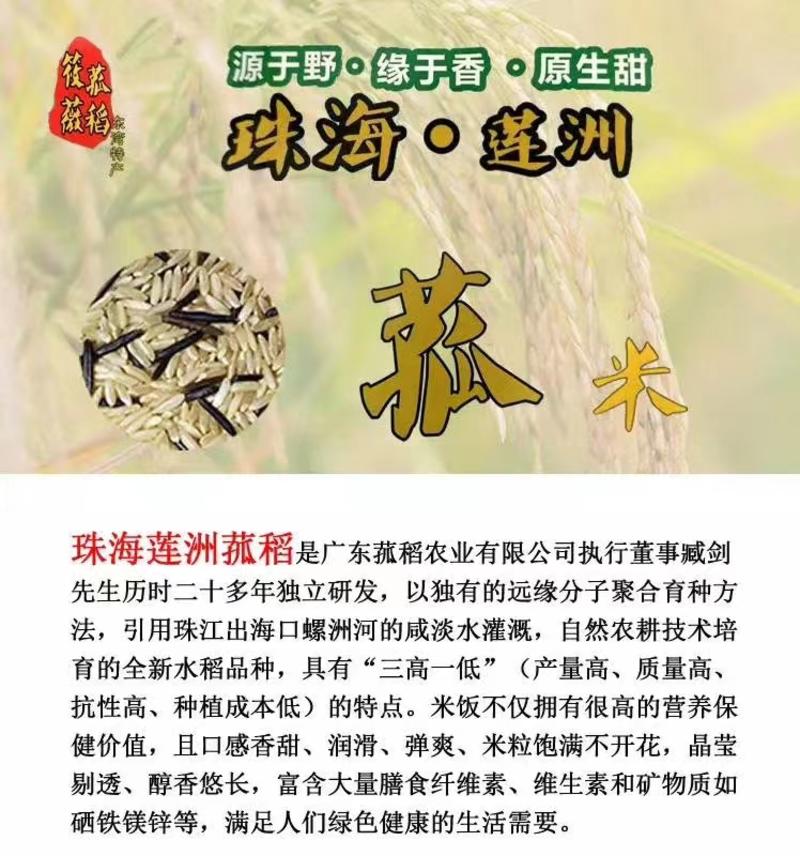 珠海莲洲筱薇菰稻米