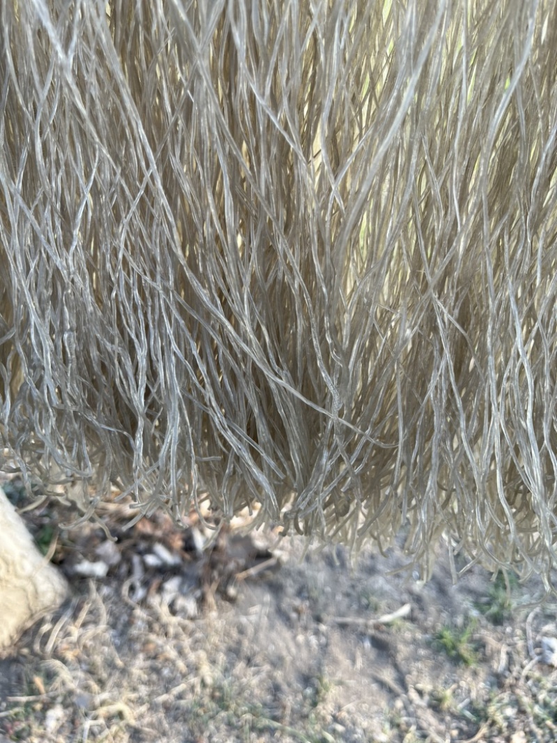 纯红薯粉条，红薯粉面