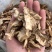 当归切片纯干货颜色好产地甘肃直销货源充足