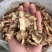 当归切片纯干货颜色好产地甘肃直销货源充足