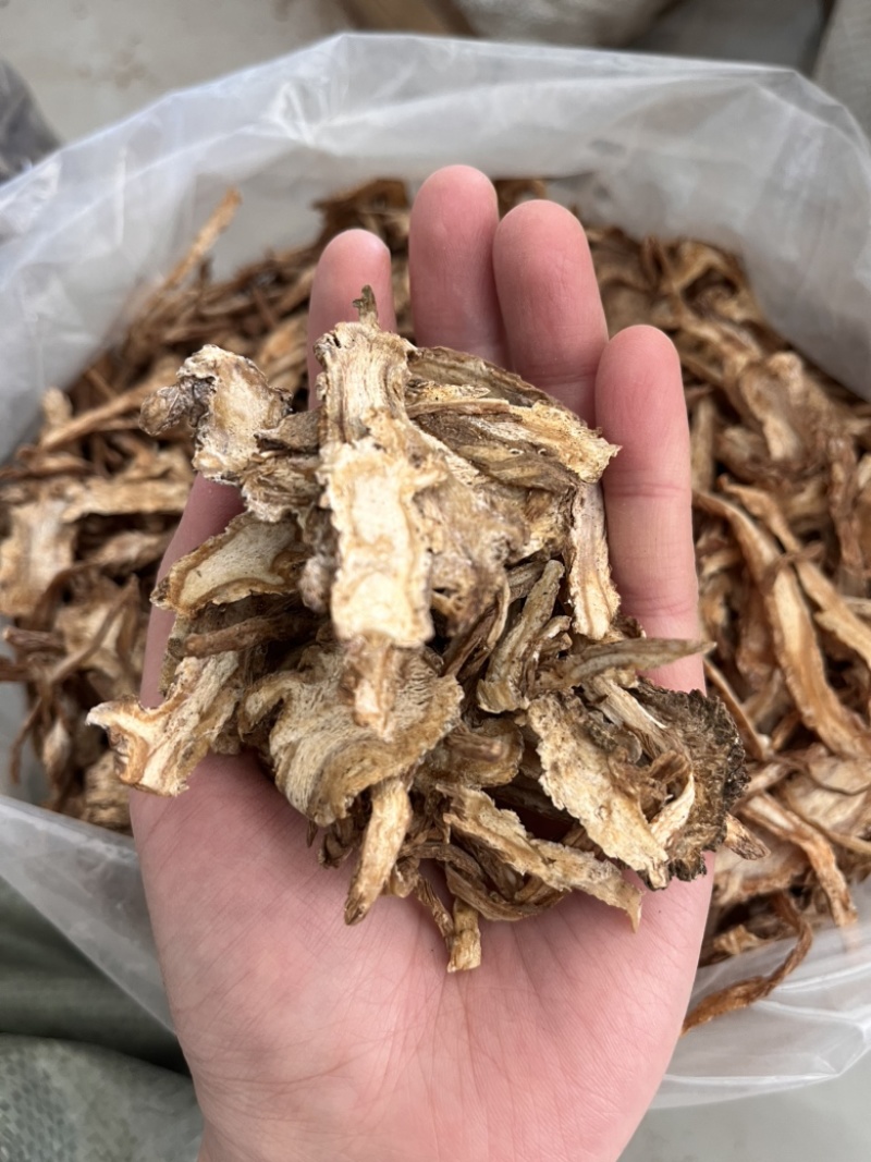 当归切片纯干货颜色好产地甘肃直销货源充足