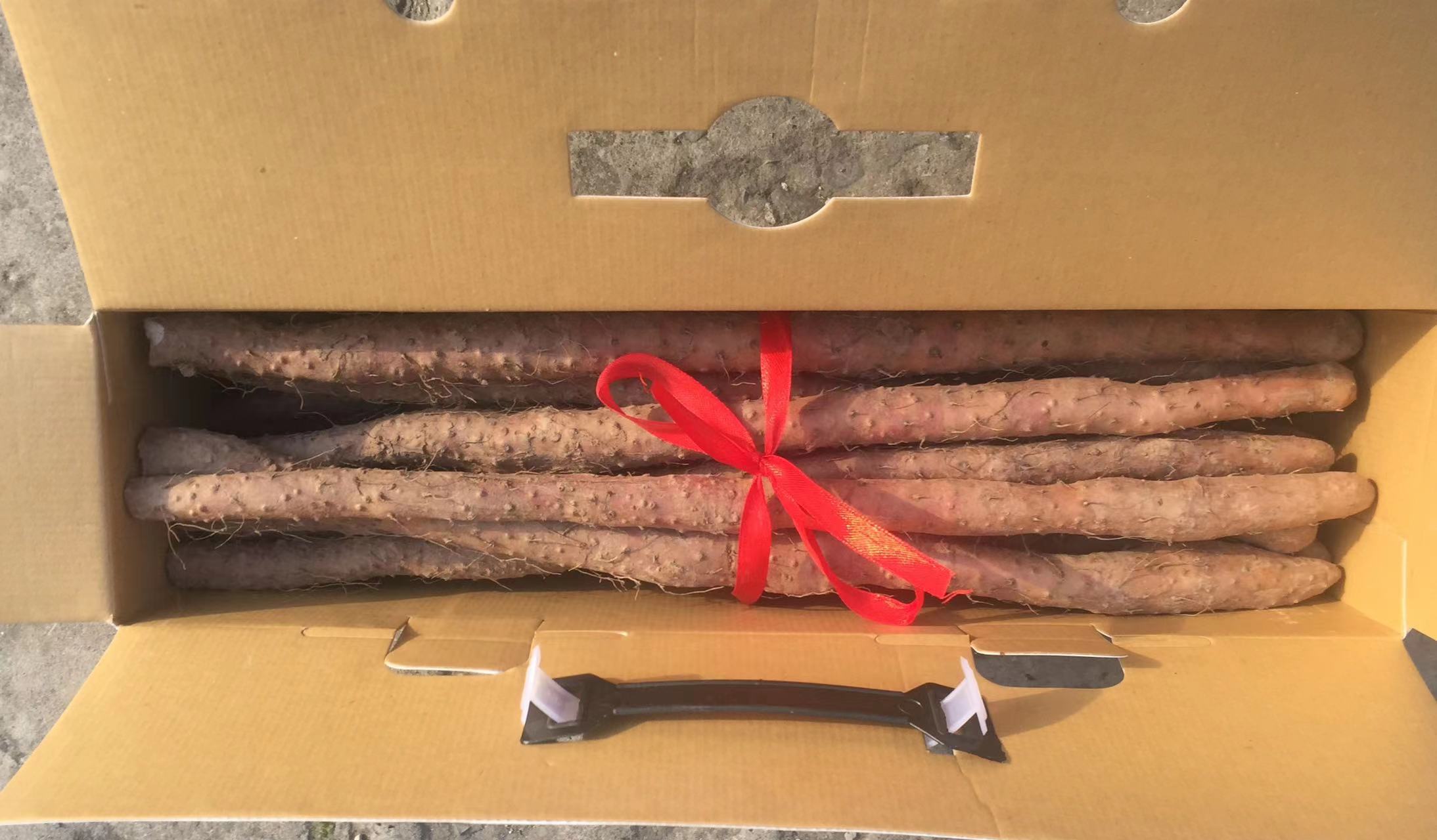 铁棍山药纸箱保存示意图