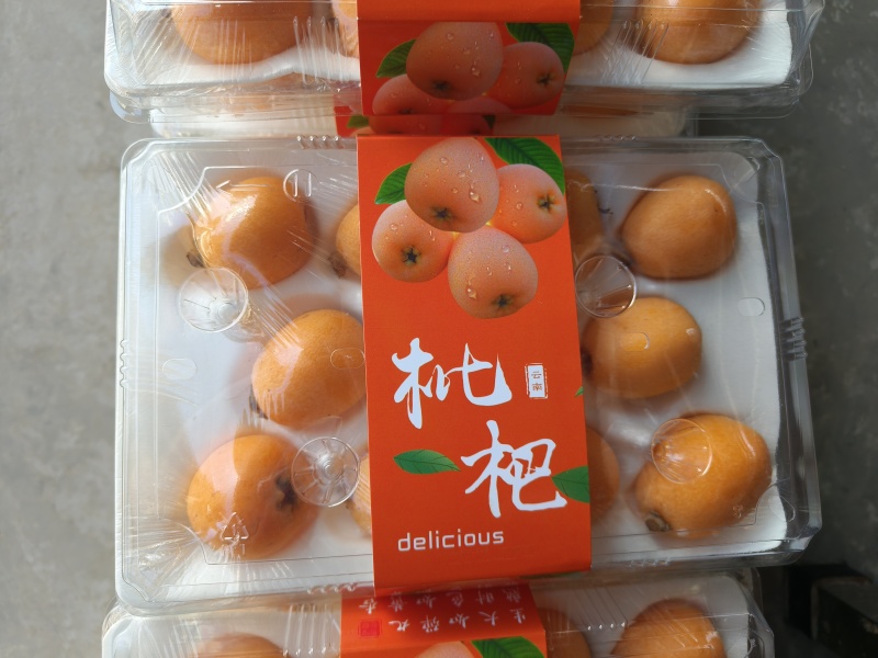枇杷礼盒