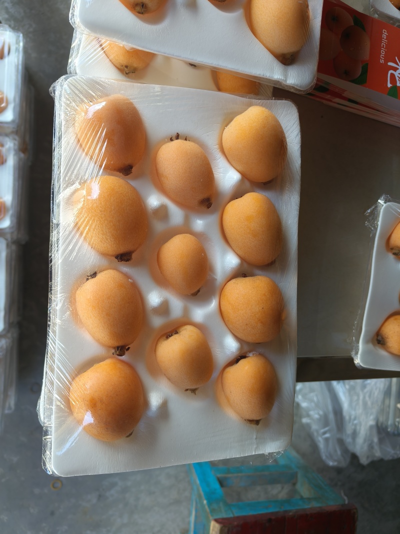 枇杷礼盒
