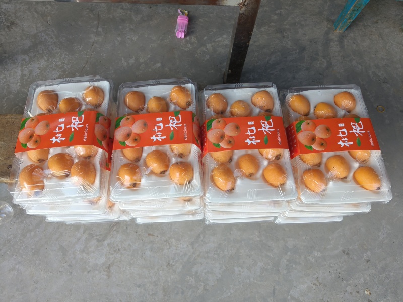 枇杷礼盒