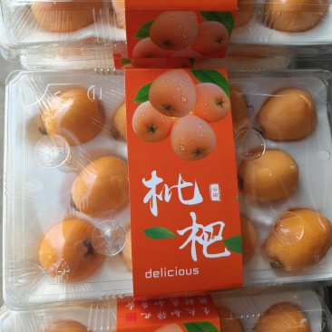 枇杷礼盒