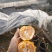 耙耙柑盖膜高山耙耙自然成熟