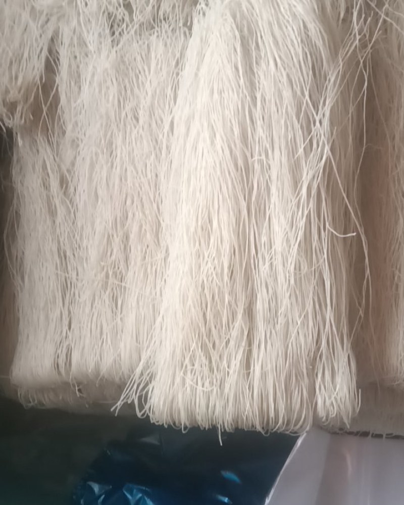 正宗红暑粉丝