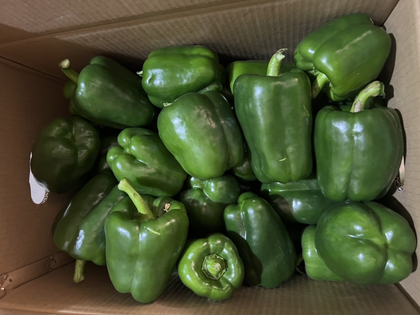 青圆椒拌凉菜成品图