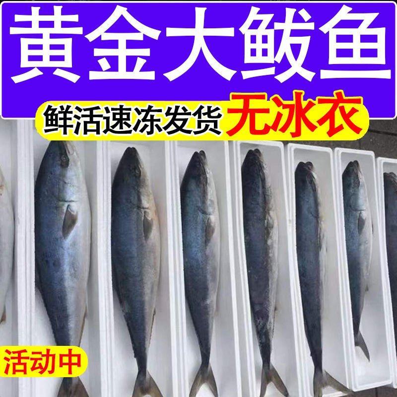 黄金鲅鱼对接各大电商社区团购平台一件代发