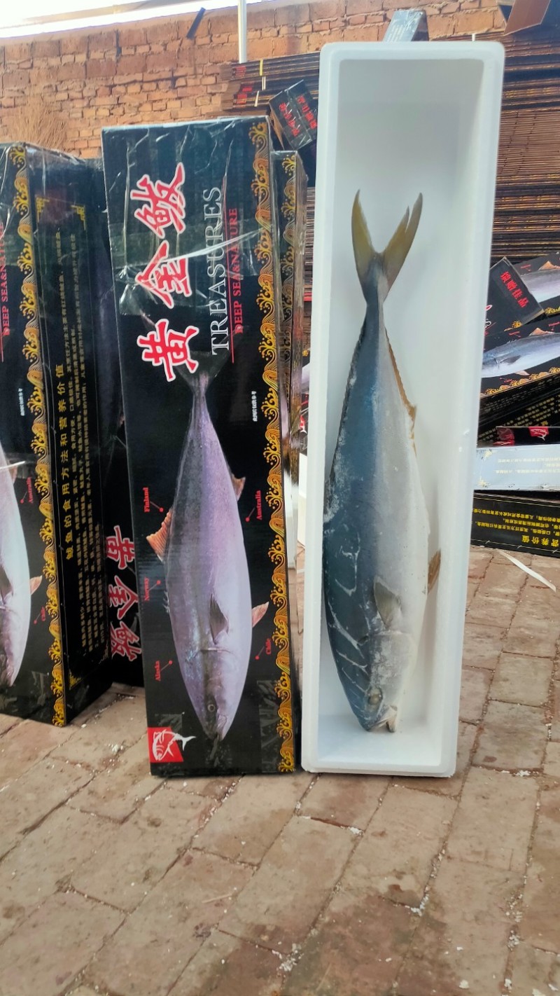 黄金鲅鱼对接各大电商社区团购平台一件代发