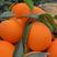 奉节脐橙纽荷尔、长红系列，全国可发货，提供一条龙服务