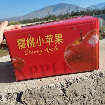 精品樱桃小苹果带冰糖心全国可以发货