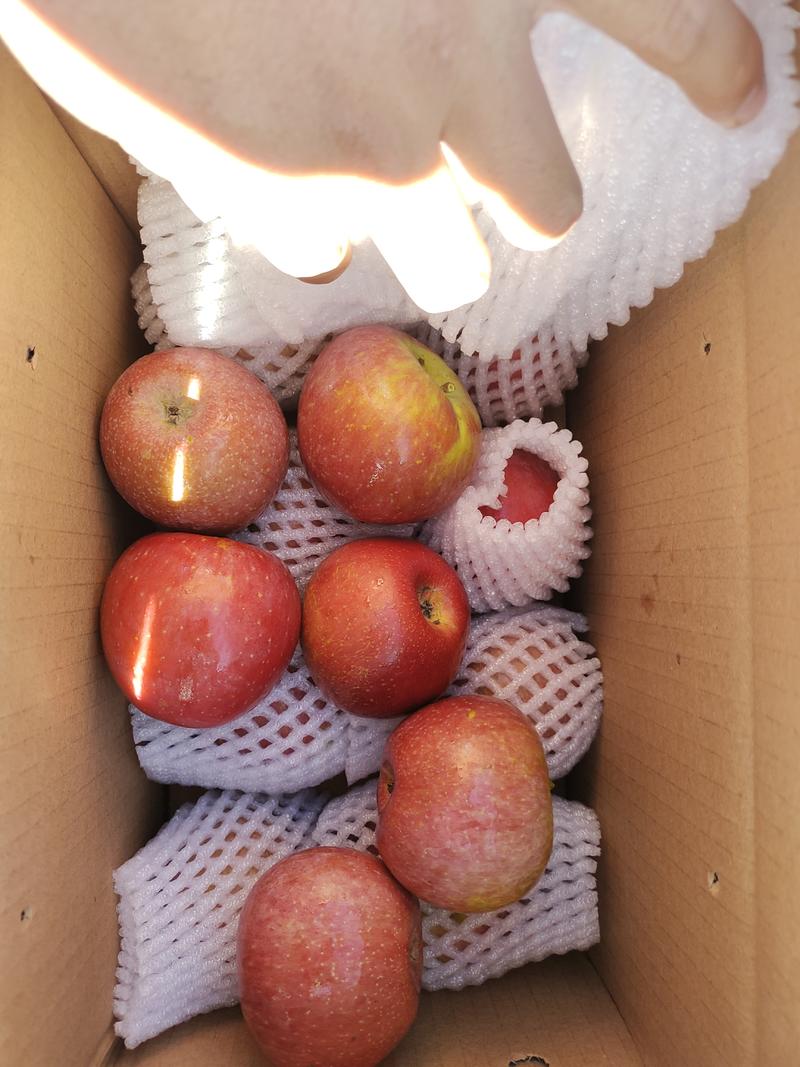 精品樱桃小苹果带冰糖心全国可以发货