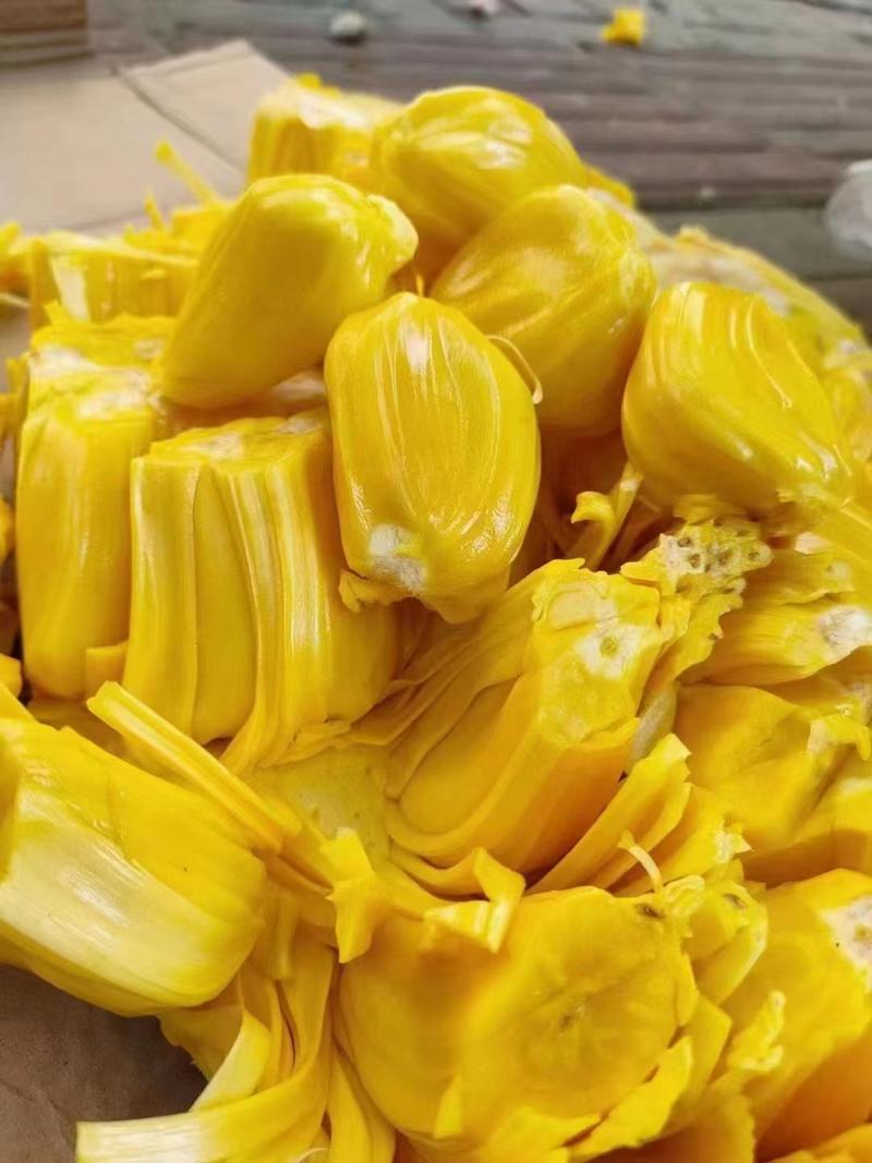 【泰国红肉8号】菠萝蜜海南菠萝蜜大量有货欢迎来电咨询