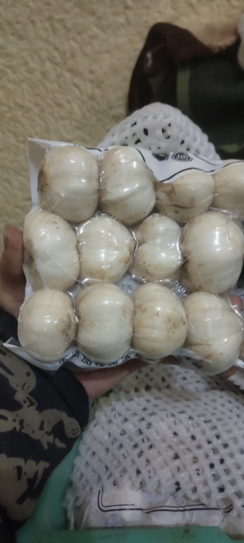 兰州新鲜甜百合小王80包90包酒店餐饮二级批发市场供货