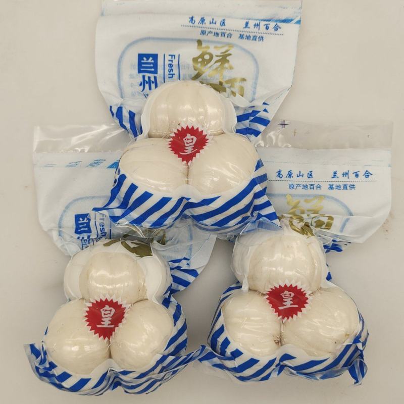 兰州新鲜甜百合小王80包90包酒店餐饮二级批发市场供货