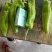 精品辣椒泡椒辣椒一手货源中辣量大从优欢迎咨询