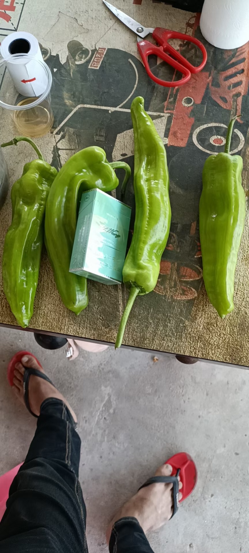 精品辣椒泡椒辣椒一手货源中辣量大从优欢迎咨询