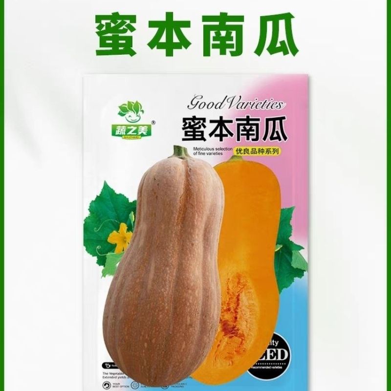 正品奶油南瓜种子春季秋季四季香芋蜜本甜糯红甜栗南瓜种籽菜