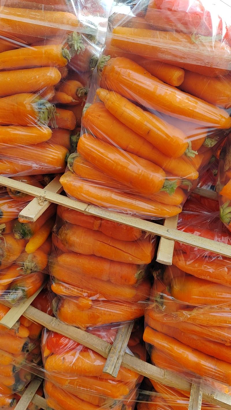 【热卖】电商土胡萝卜，水洗中条，提供各种规格